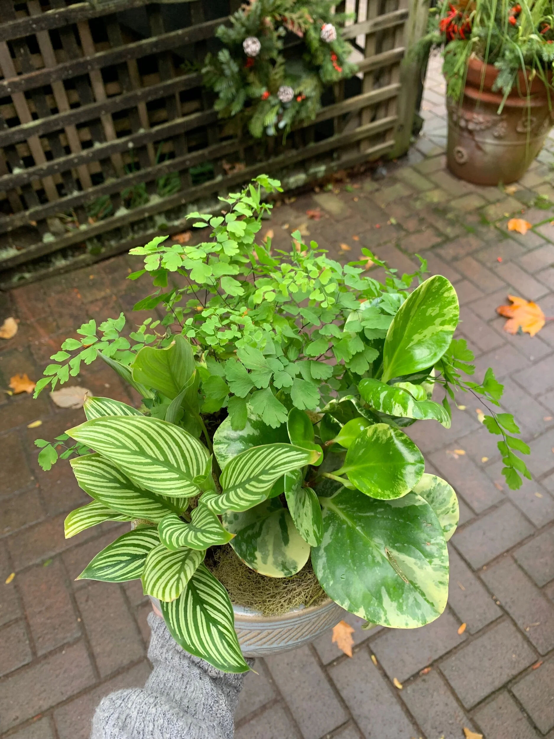 85373F06-0EA9-43C1-8526-A90D02500267