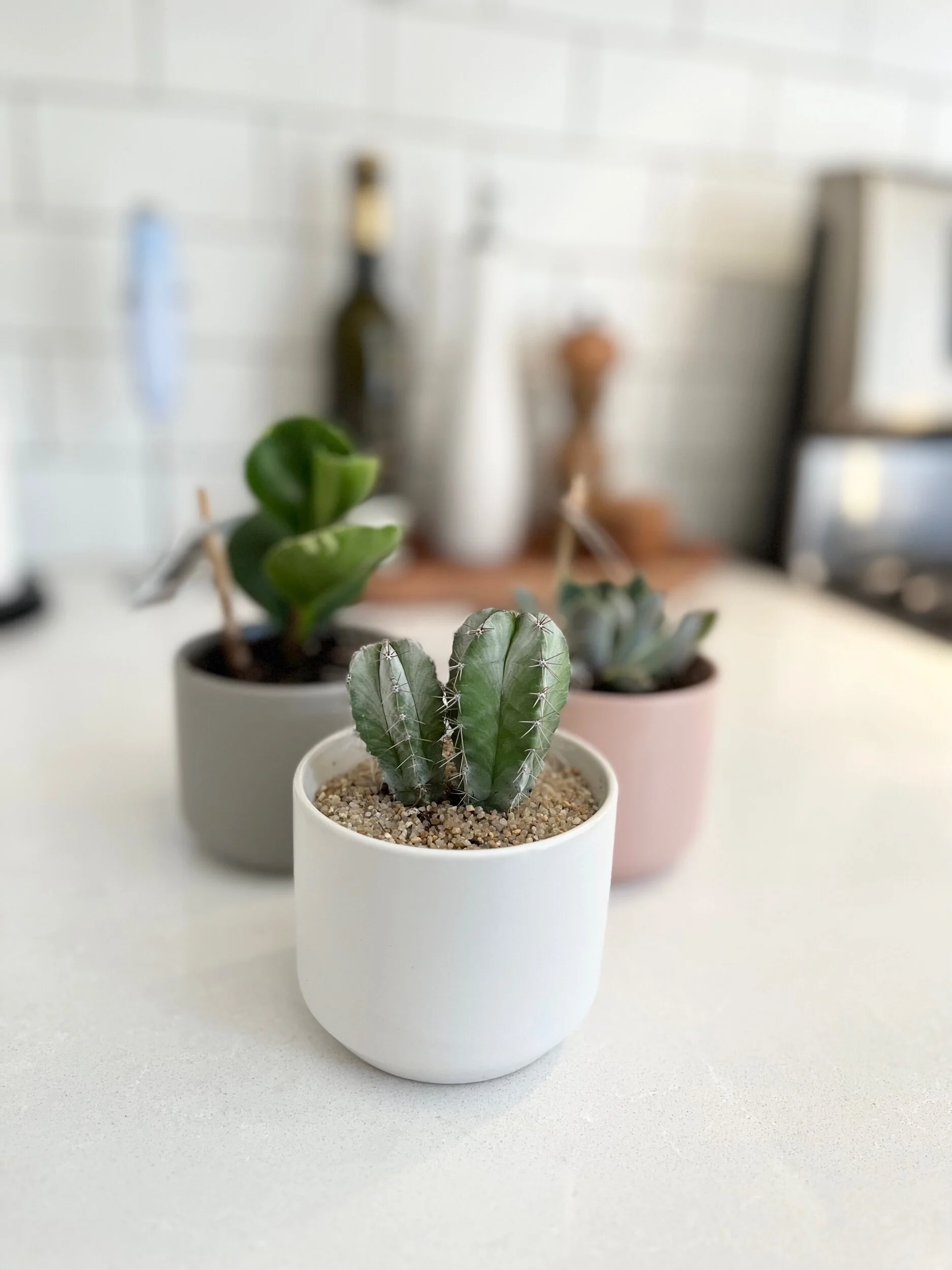 9615BB0D-3A42-46B7-B200-FEEE348BAD88