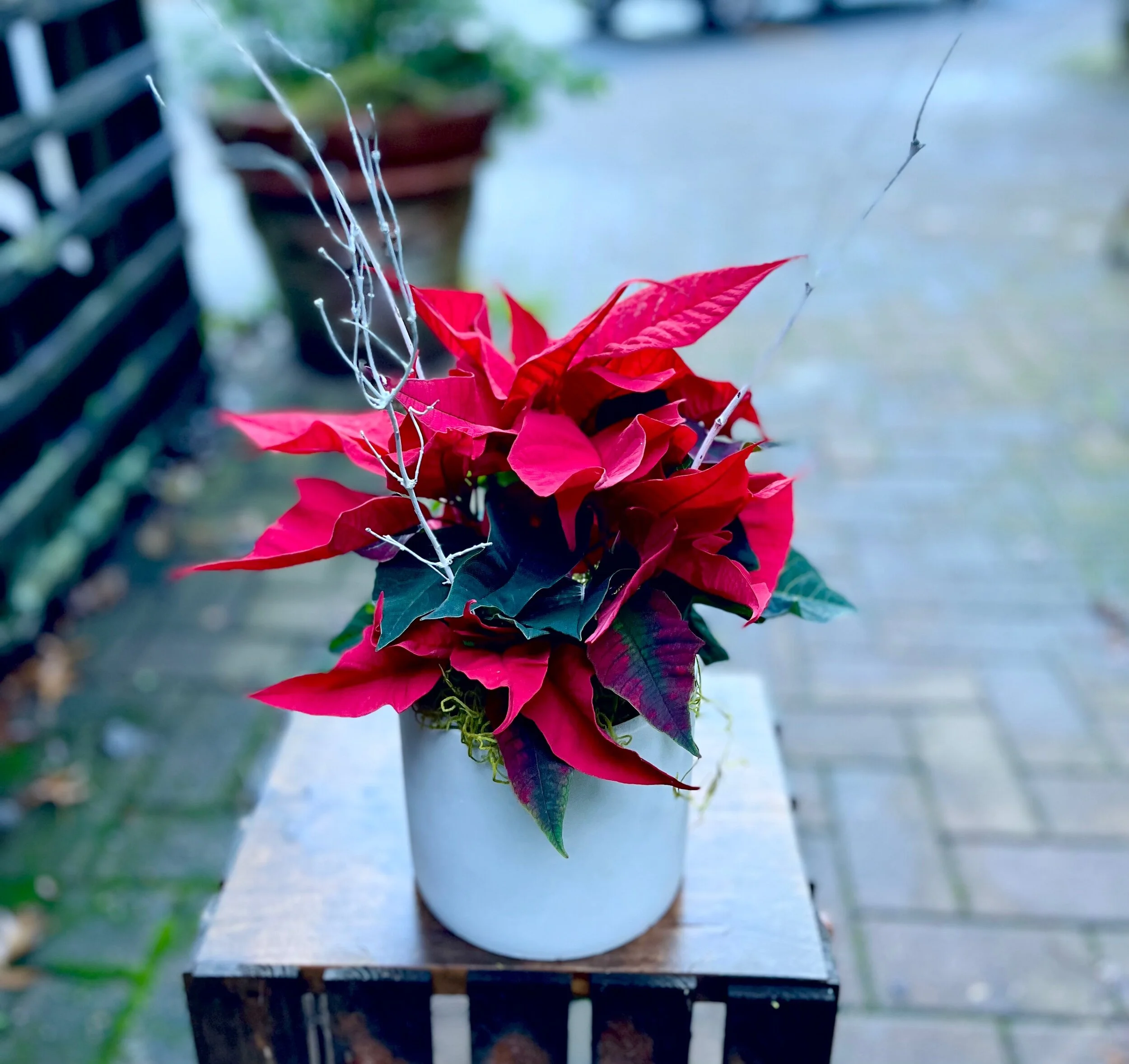 7D7ECA9C-CD39-45F9-9270-C36262AA0C96