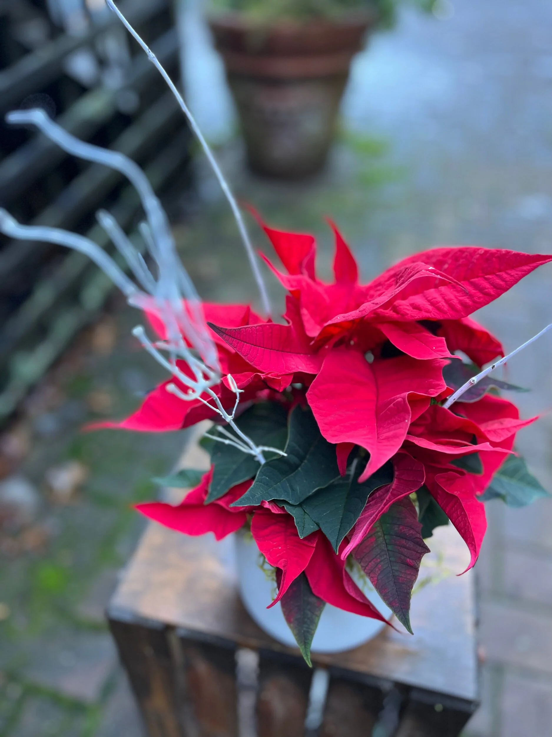 B0AA8198-C1B0-4D5A-B17E-6597CB6398AB