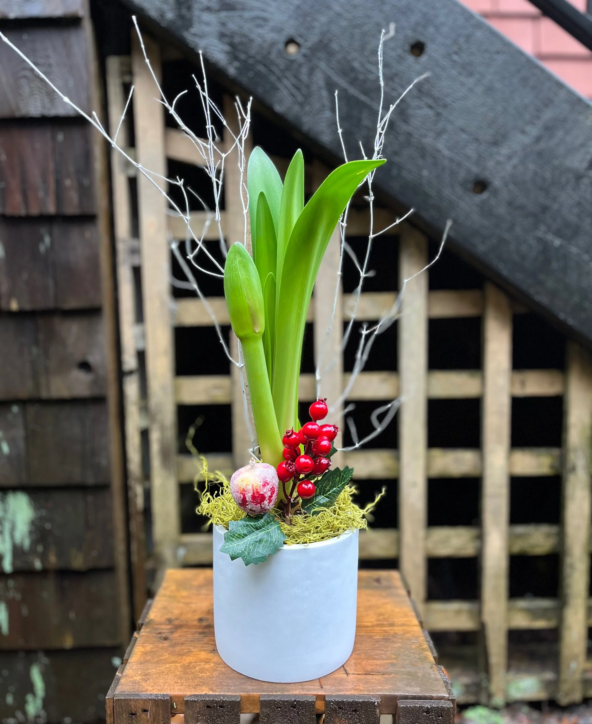 AC2337C2-34E5-4701-9273-FB2307DF173C