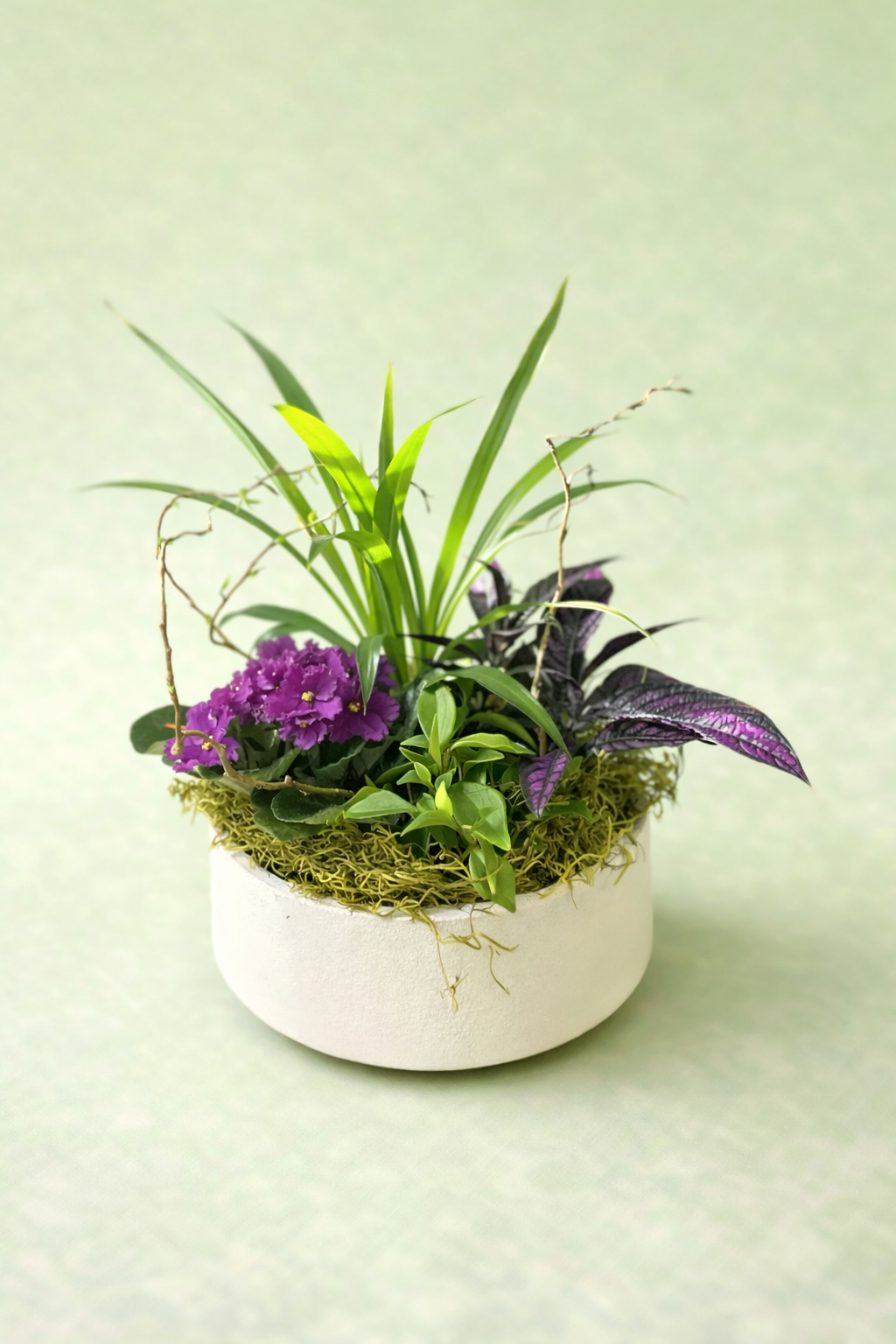 Indoor Tropical Planter