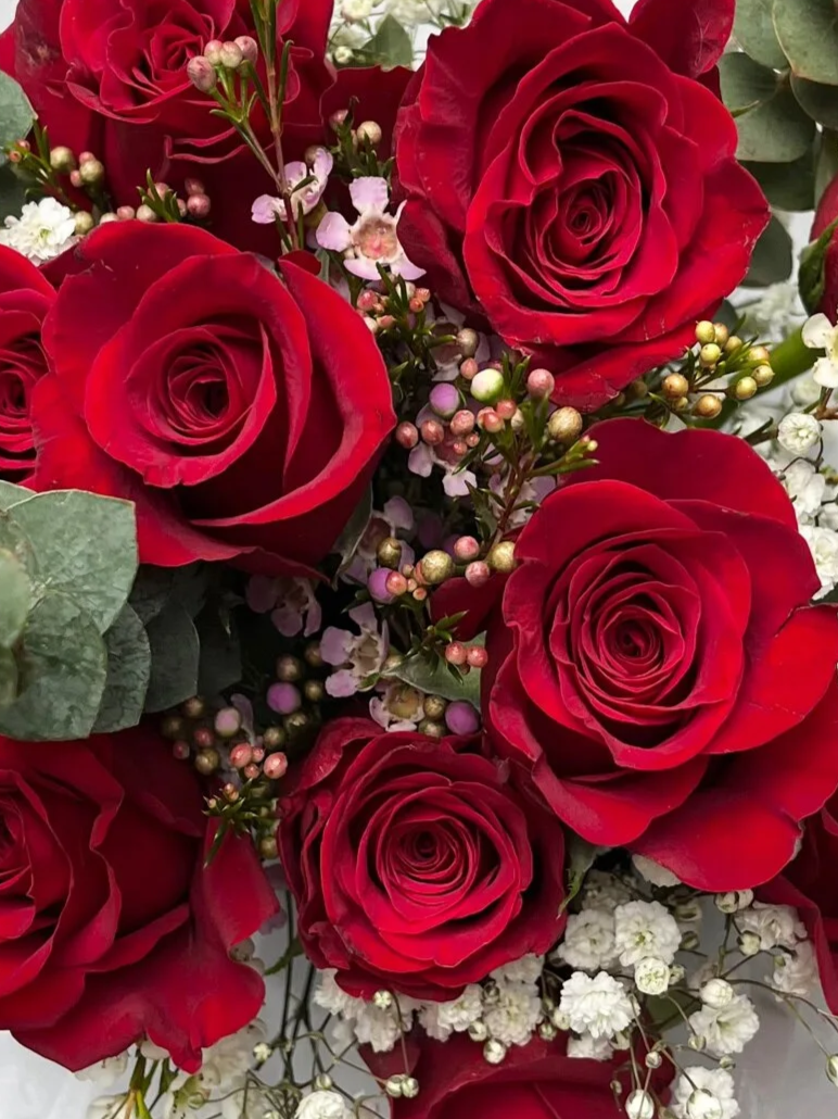 The Classic - Half Dozen