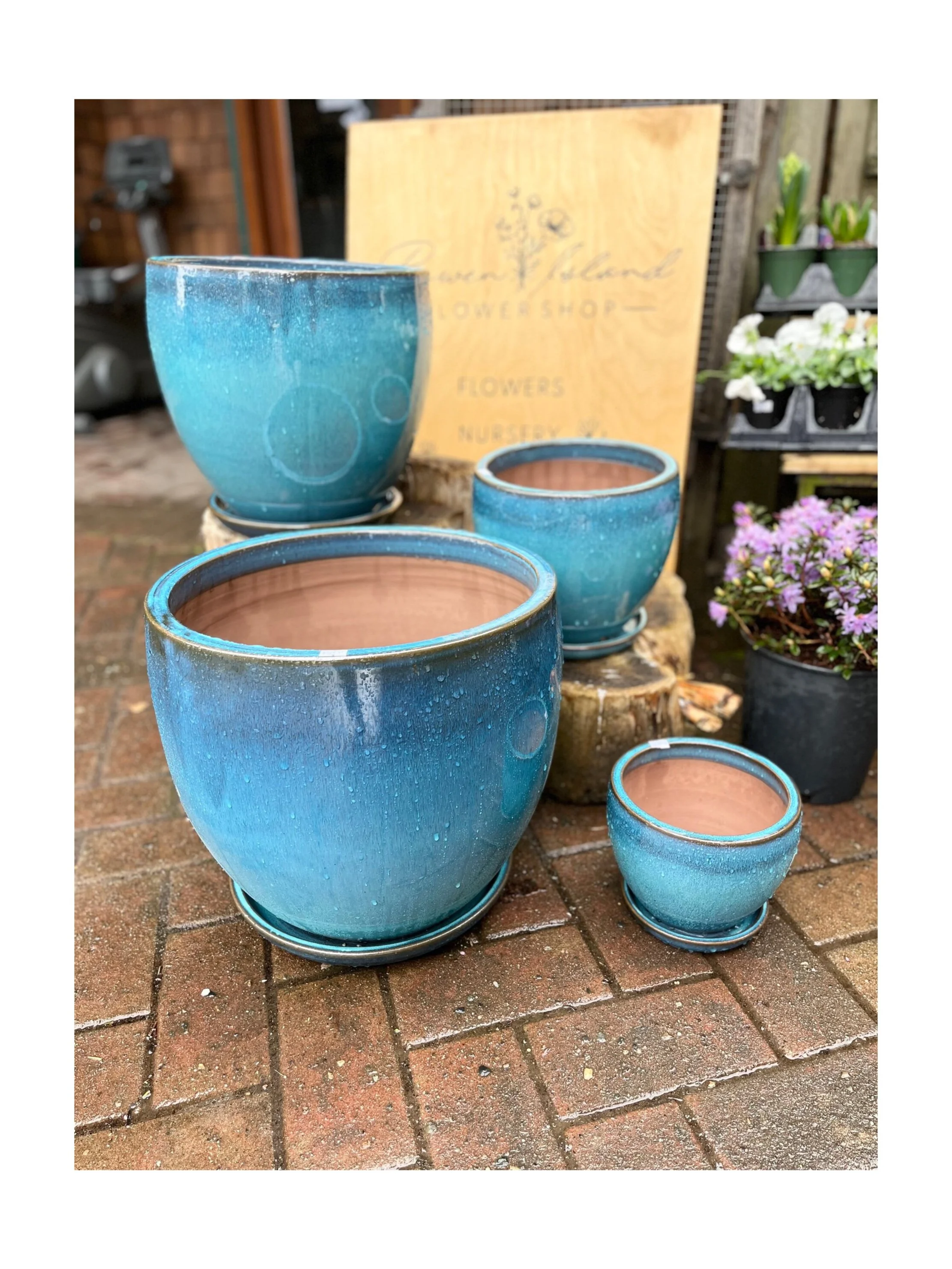 2ABA4EFA-5567-459C-BA92-8E3F1A90D075