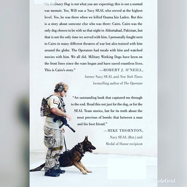 Join us in five minutes as we have the opportunity to interview Navy Seal, Will Chesney, via Zoom. Details below:

Topic: No Ordinary Dog // Crossfit SurfCity 
Time: ‪May 28, 2020 07:00 PM Pacific Time‬ (US and Canada) 
Join Zoom Meeting ‪https://us0