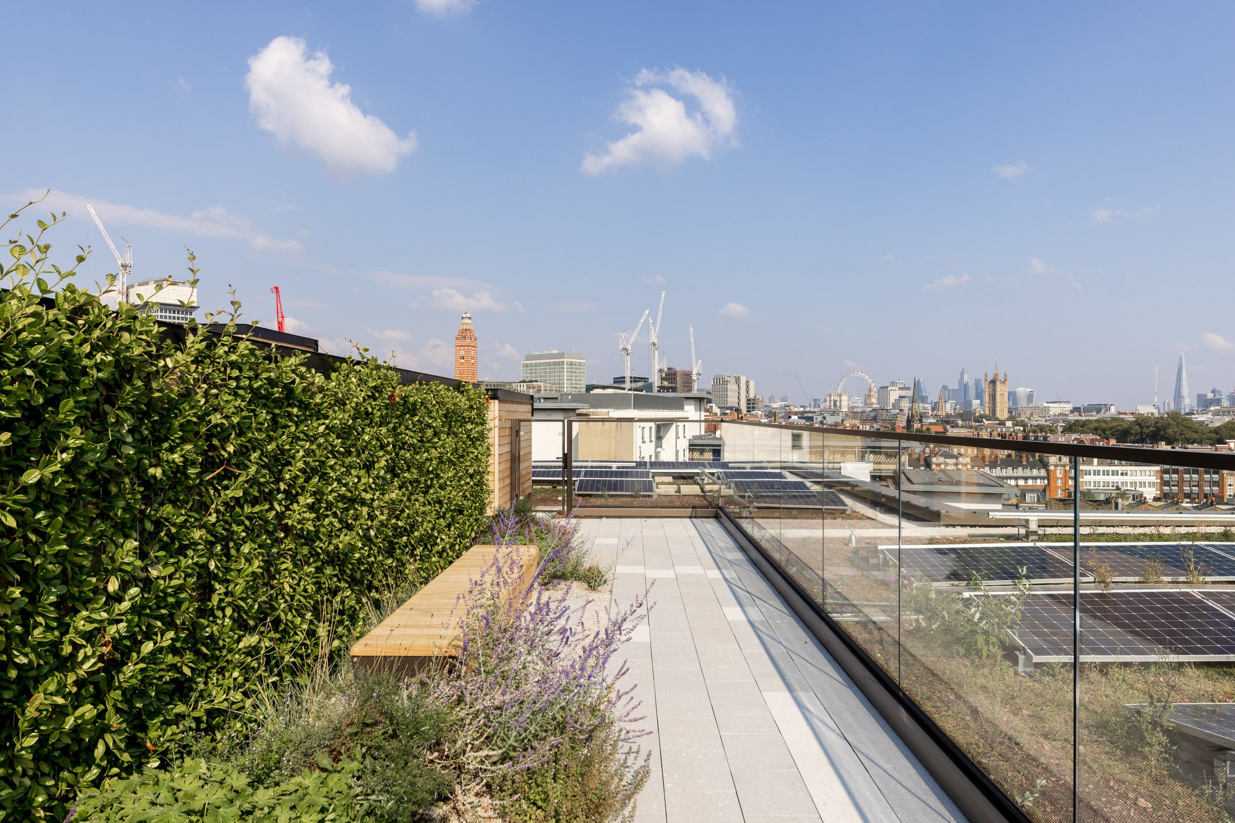 11 Belgrave-10.jpg