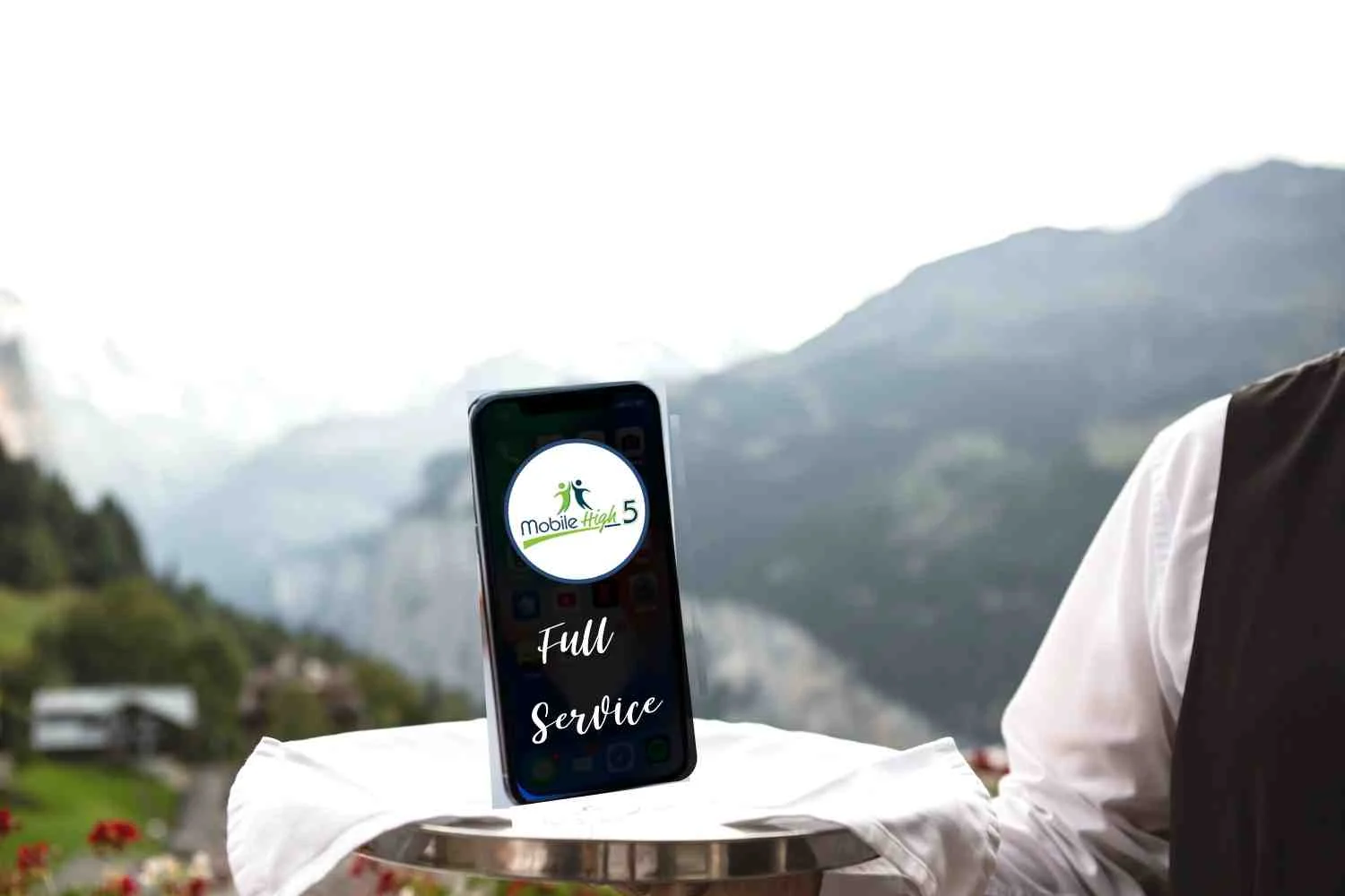 full service-sms-text-bulk sms-marketing-advertising-mobile high 5.jpg