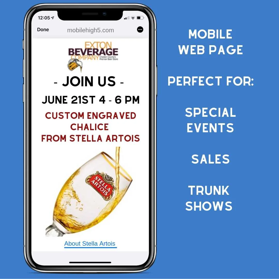 mobile web page-event-sms text-bulk sms-marketing-advertising-agency-mobile high 5.jpg