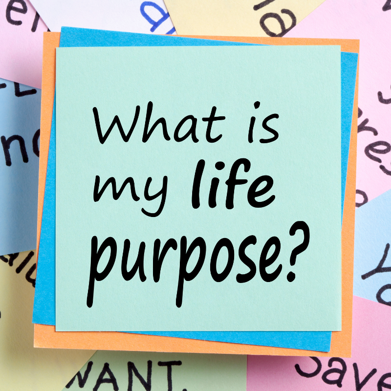 Find Your Purpose and Thrive 