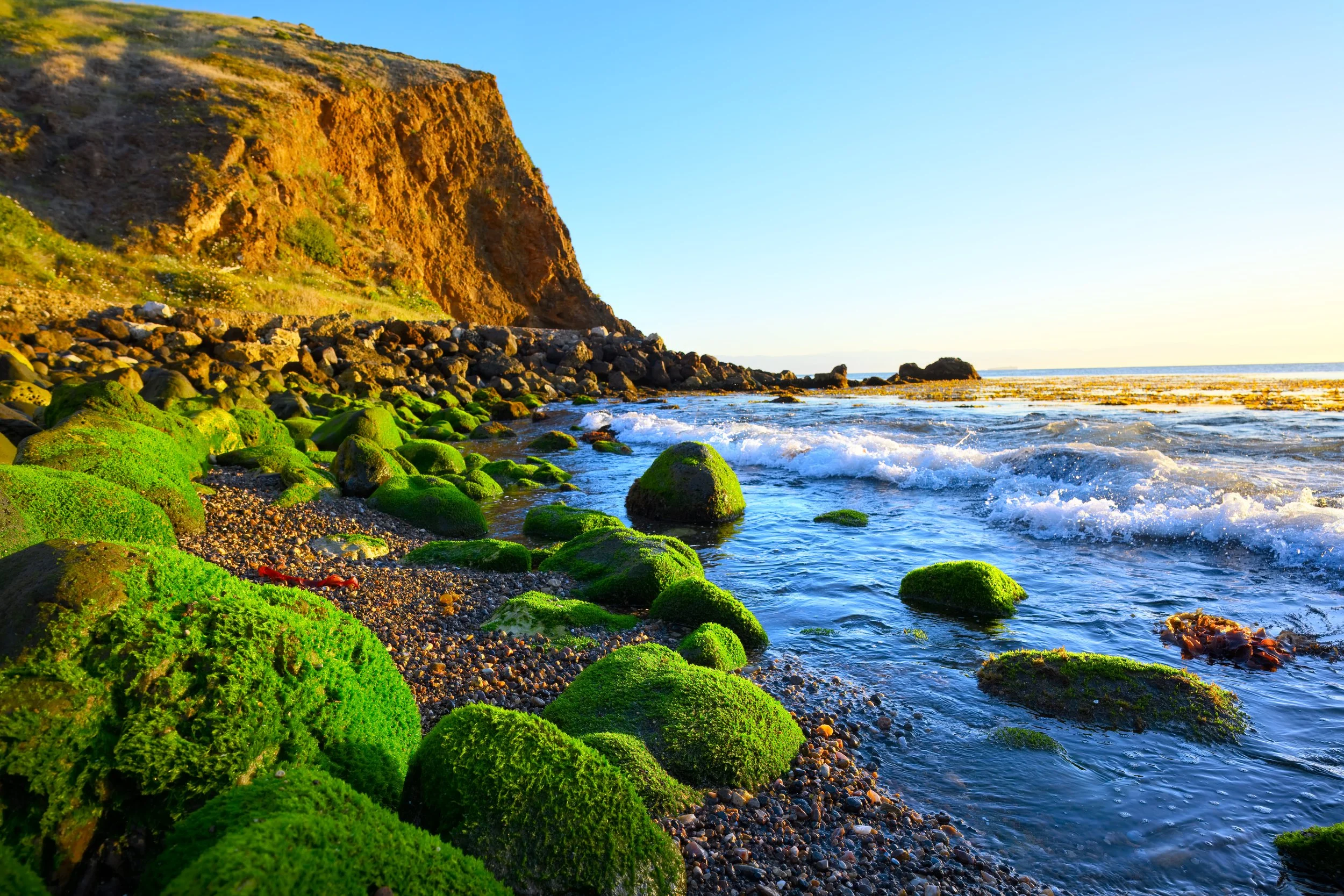 Scorpion Cove sunrise with moss_bright_for website_DSC5207-topaz-rawdenoise-sharpen-1.jpg
