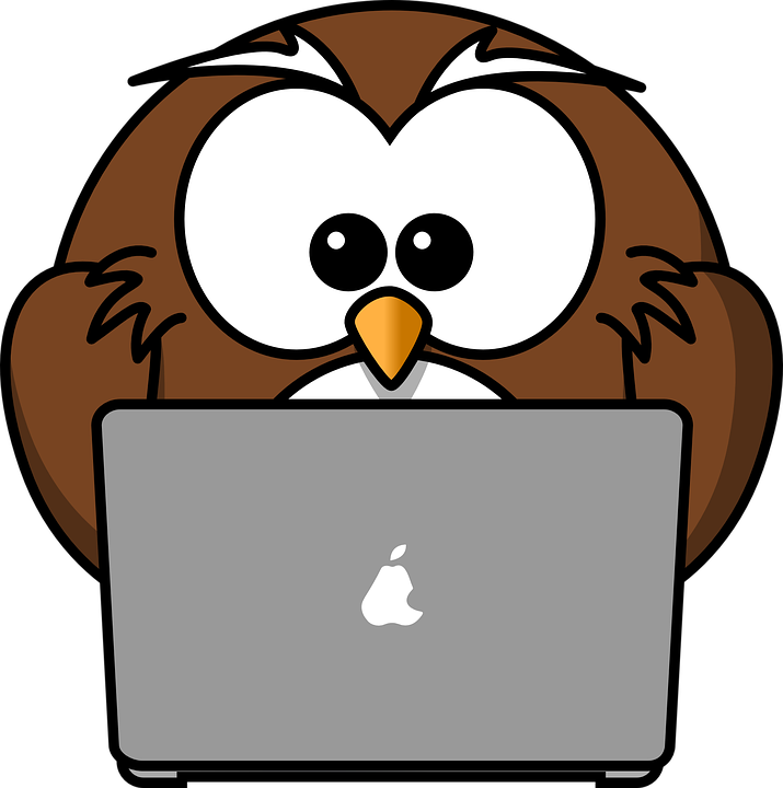 techowl.png
