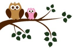owls_tree.jpg
