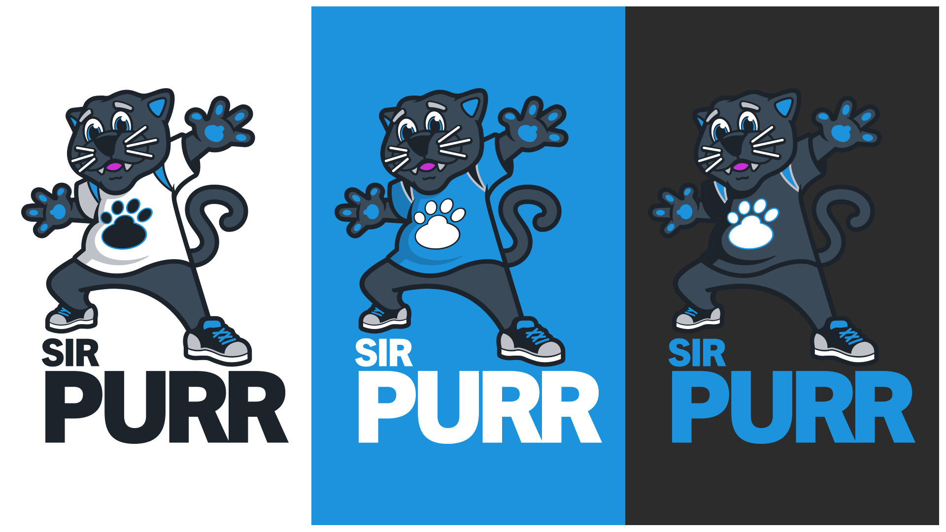 JerseyColors_Full_Thumbnail.png