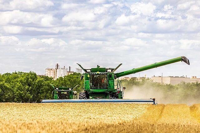 Harvest in Texas complete for our crew, @highplainsharvesting. Yields (meaning how much grain came off each acre) were anywhere from 0 to 50 bushels per acre. Most averaged 20-30 bushels per acre. Yields were compromised due to a late season freeze a