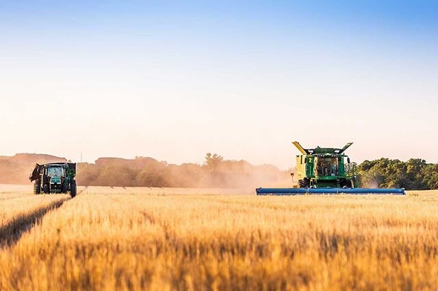 Harvest in the evenings is my favorite! @highplainsharvesting @onlyinoklahoma @johndeere @unverferth_mfg @shelbournereynolds #harvest2020 #wheat #wheatharvest #harvest #harvest20 #harvesttime #onlyinoklahoma #oklahoma #travelok #landscapephotography 