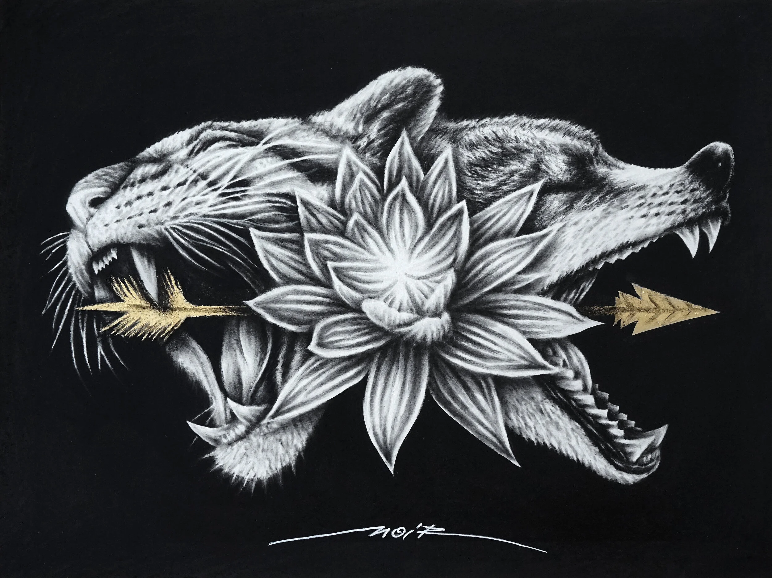 Lotus - 40x30cm - HD 2019.jpg