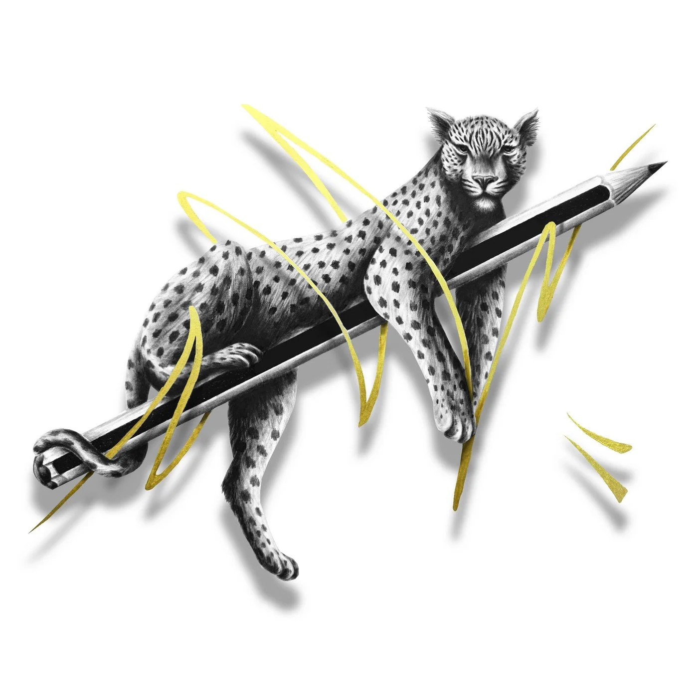 NOIR - Carré Déco - Resting Leopard.jpg