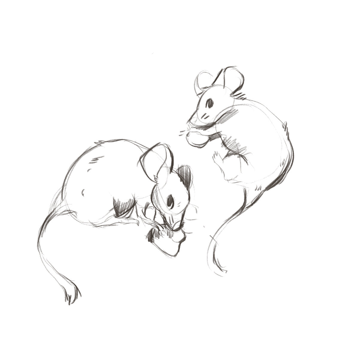 Two Mice