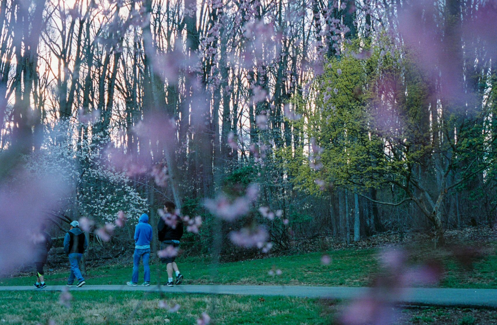 0207102_0207102-R1-033-15 - Copy.jpg