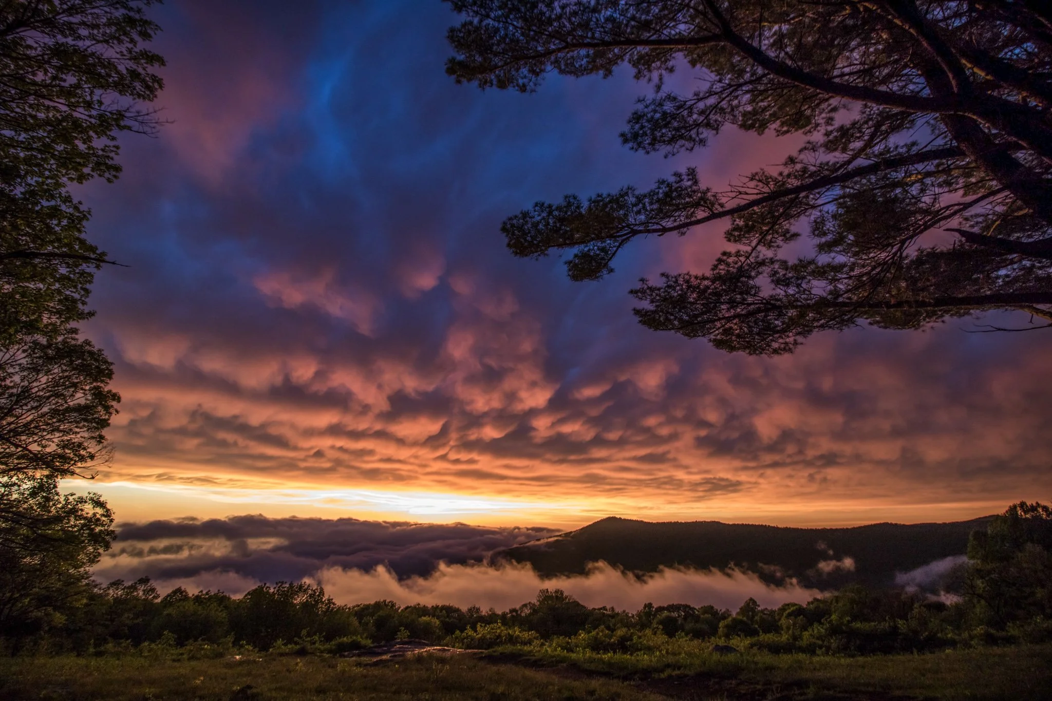 sunset (1 of 1).jpg