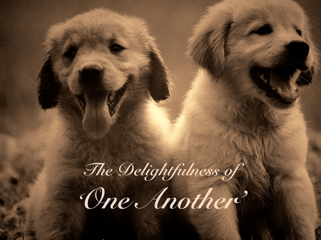 One Another.jpg