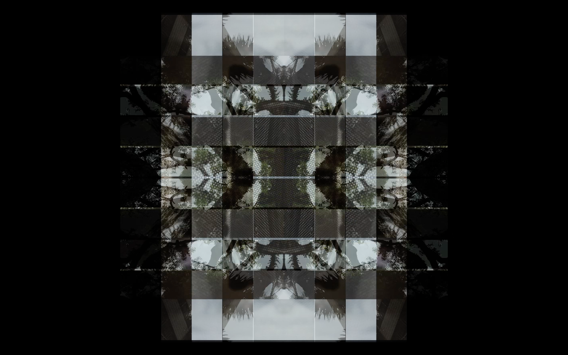 1e559f32039109.566cba3eaaed8.png