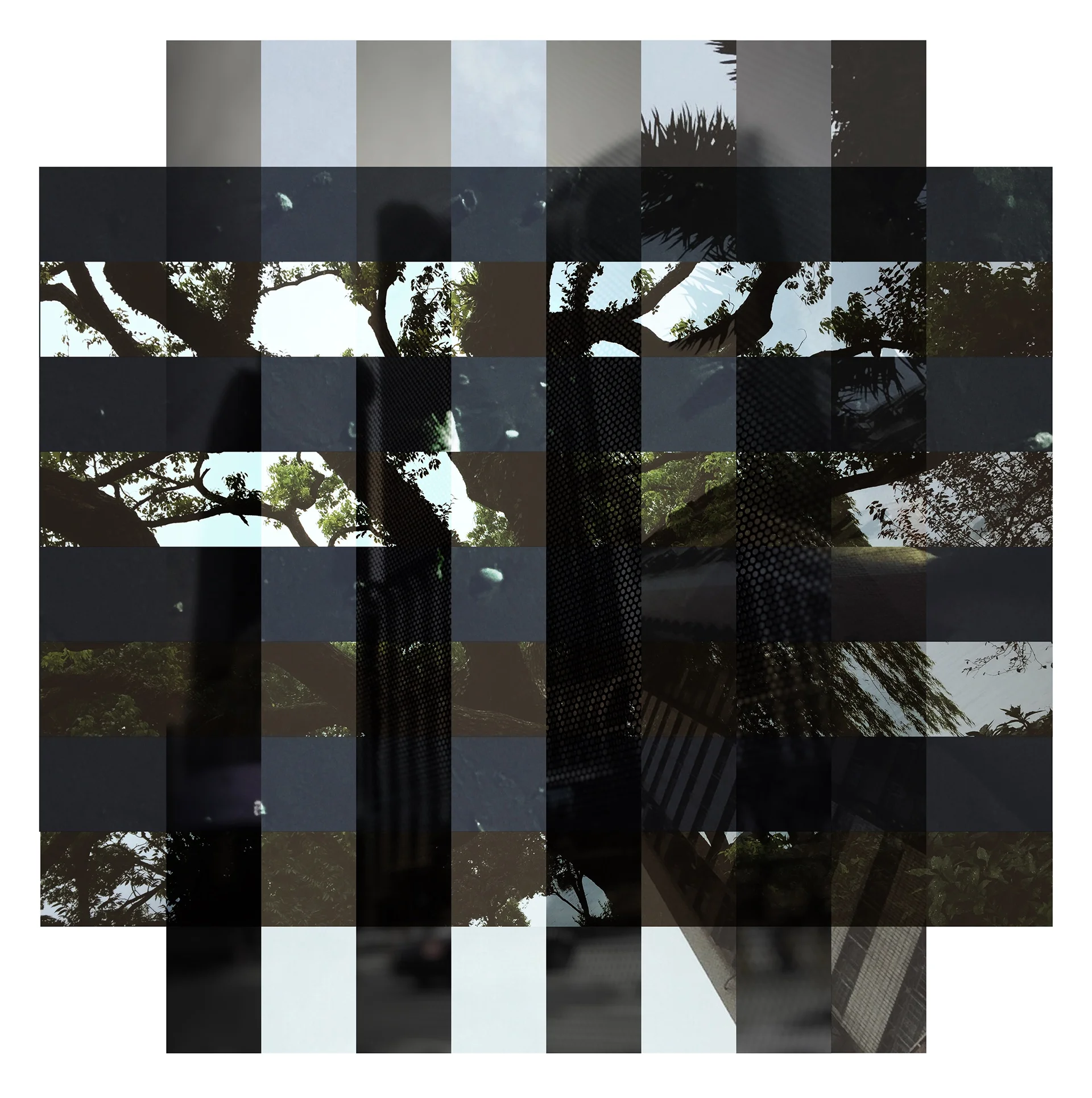 835b3831736933.565e8dea5444e.jpg