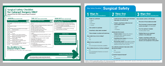 Figure 4: These checklists are aesthetically pleasing and match institutional branding, but perhaps at the expense of focusing on the content.