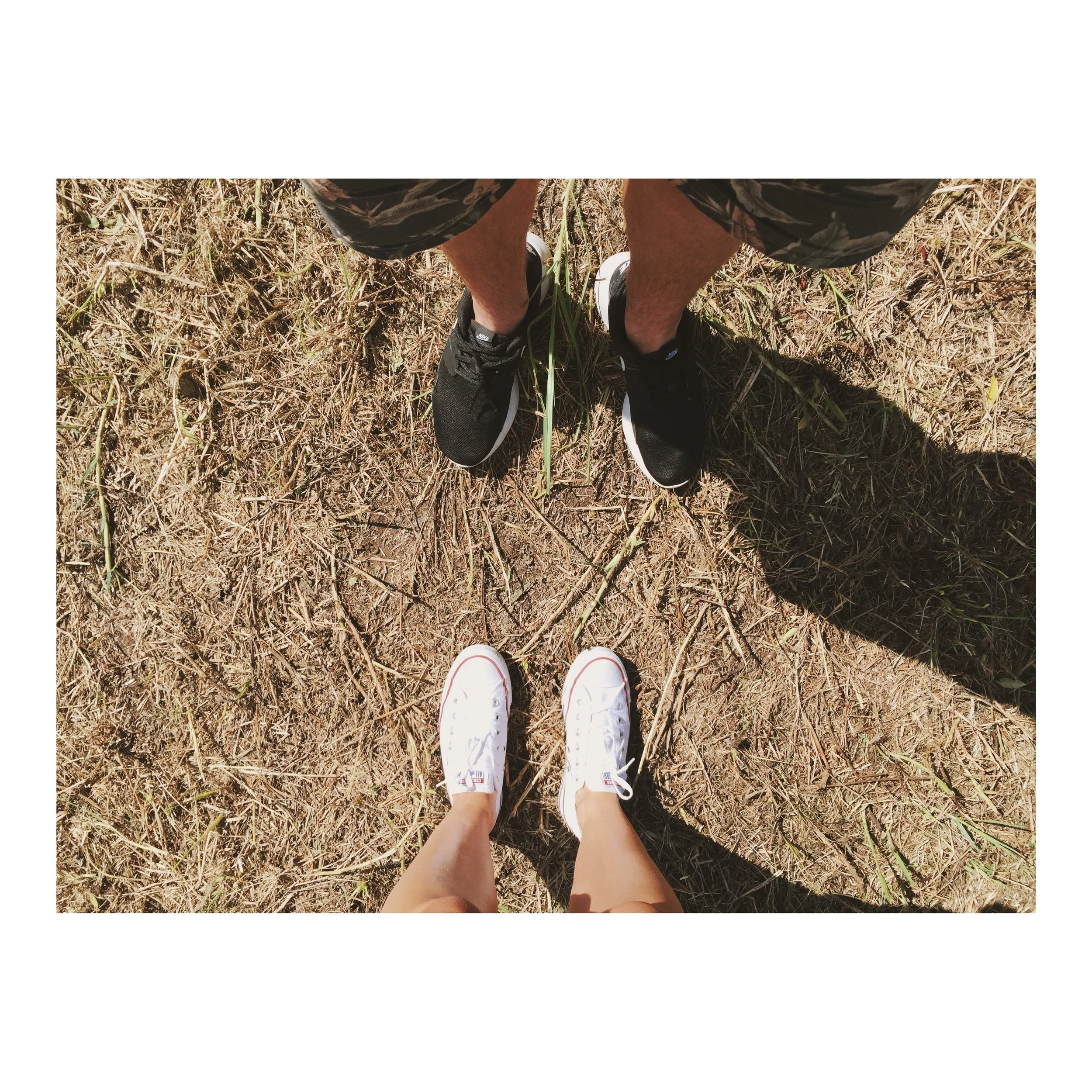 The Land &amp; Purchase