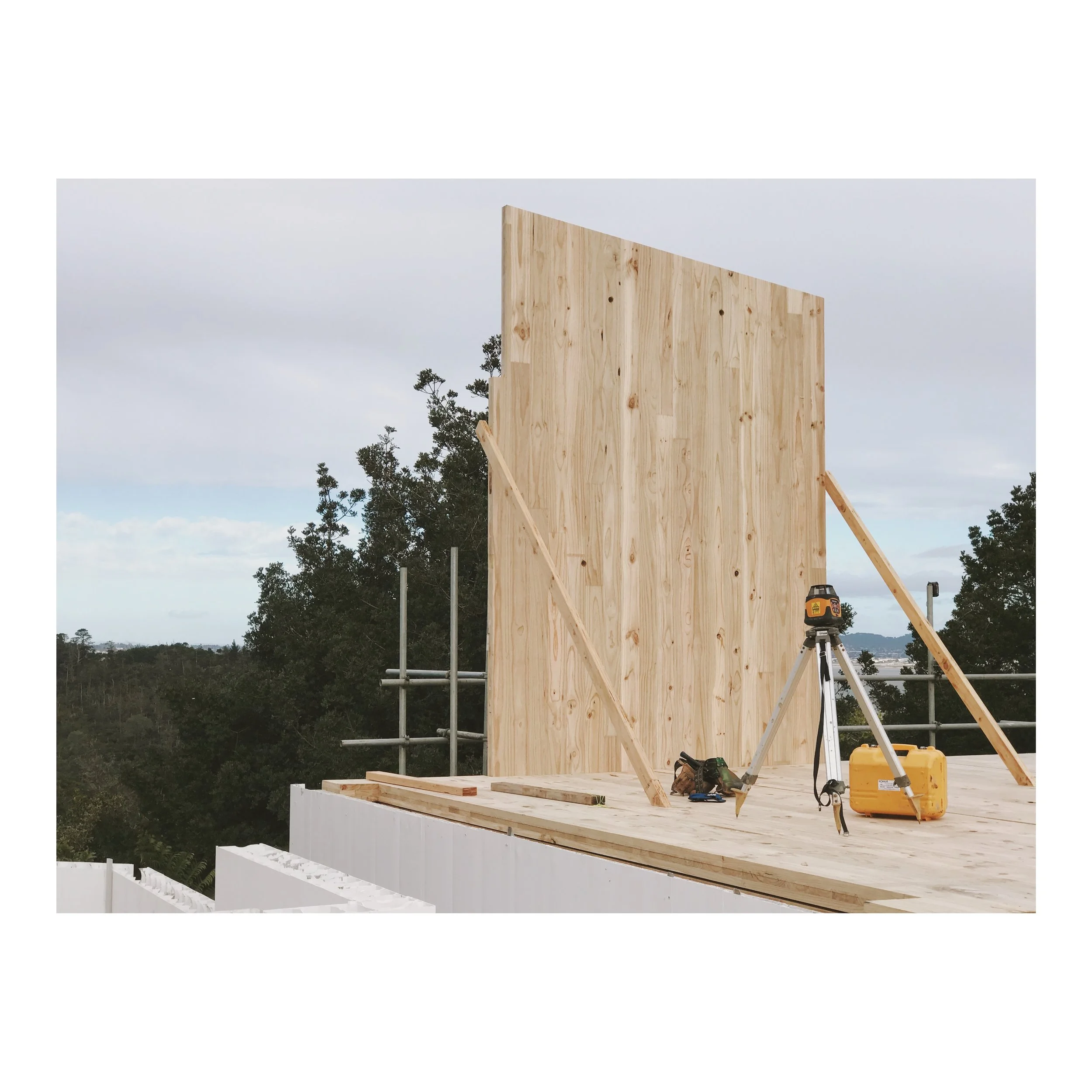 XLAM STRUCTURAL PANELS   Cross Laminated Timber is building sustainably. Building with XLam CLT panels is fast, safe, economical and good for the planet. Not to mention incredibly fast and labour saving to install.