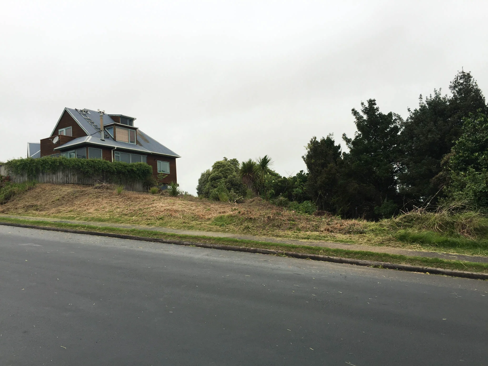 Island Bay (2 of 15).jpg