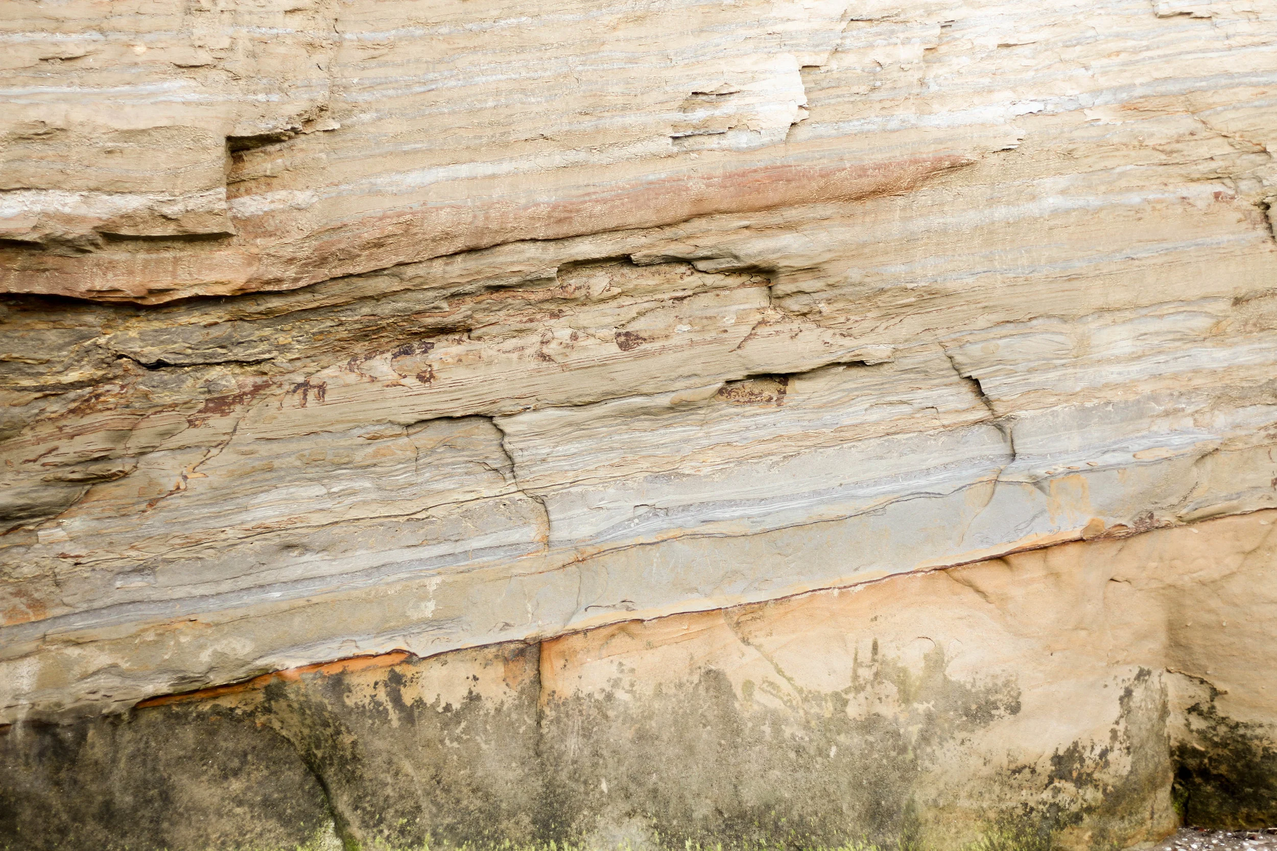 Island Bay (61 of 76).jpg