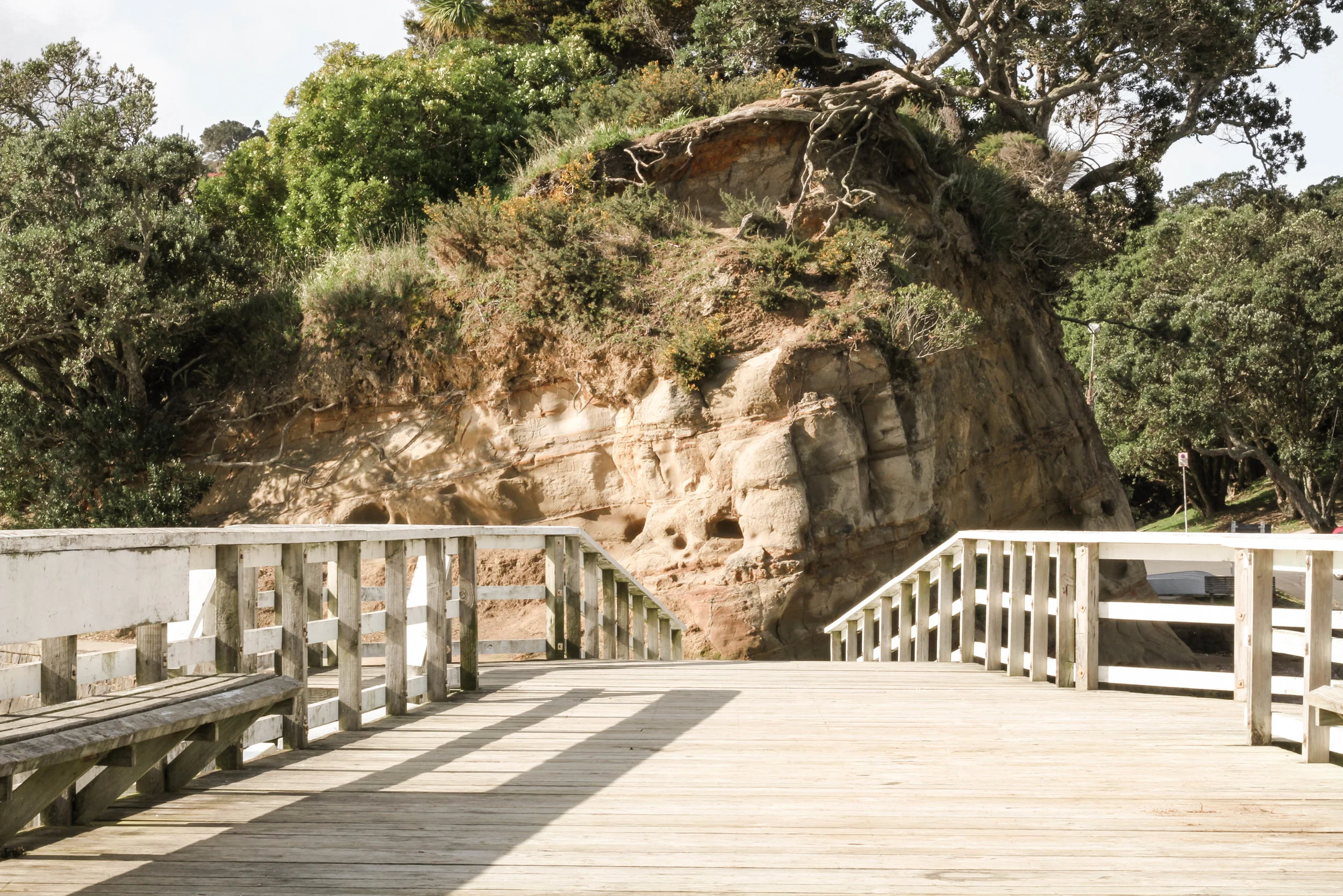 Island Bay (70 of 76).jpg