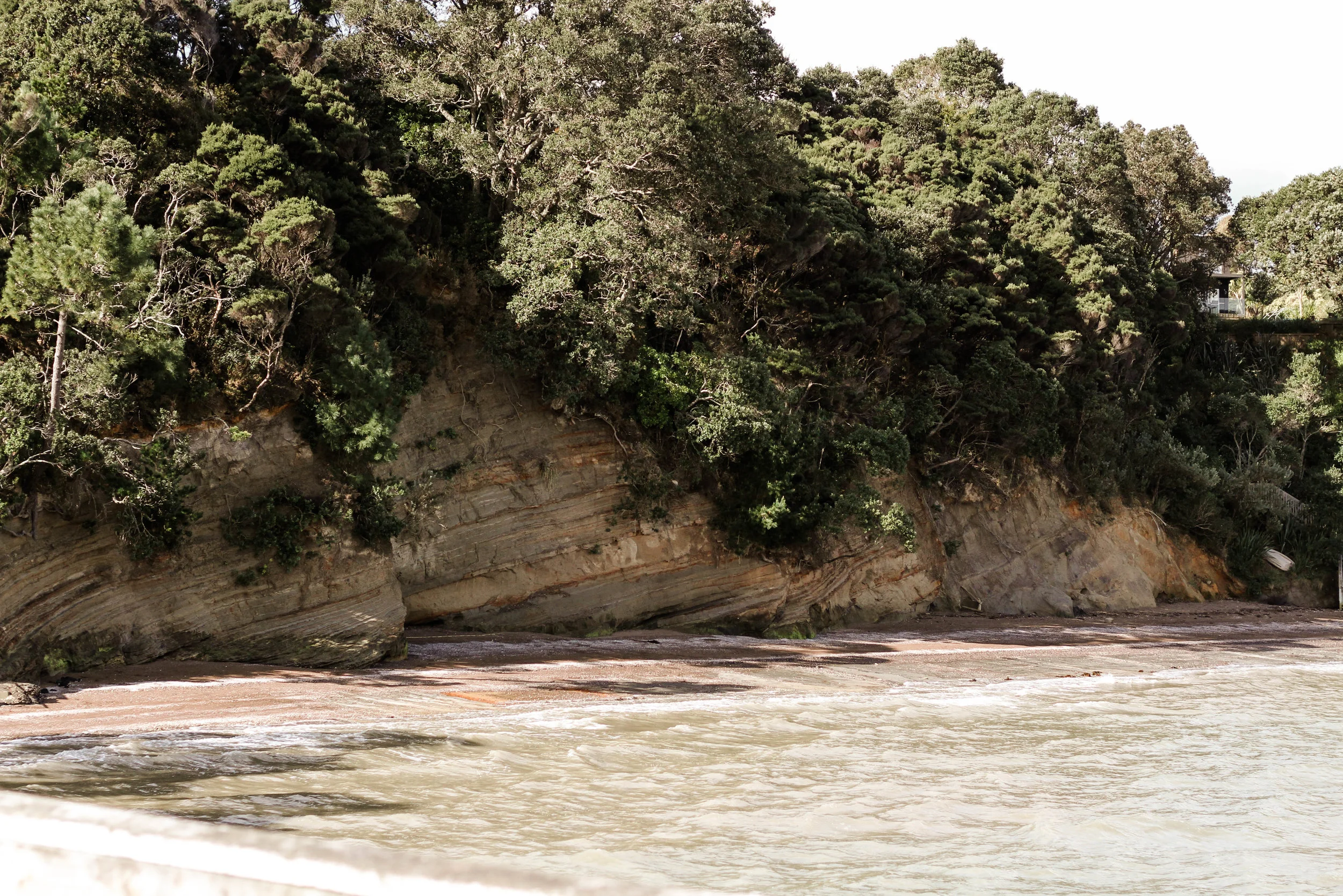 Island Bay (71 of 76).jpg