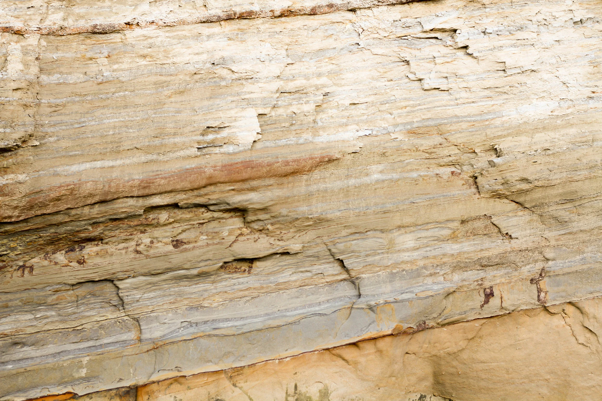 Island Bay (60 of 76).jpg