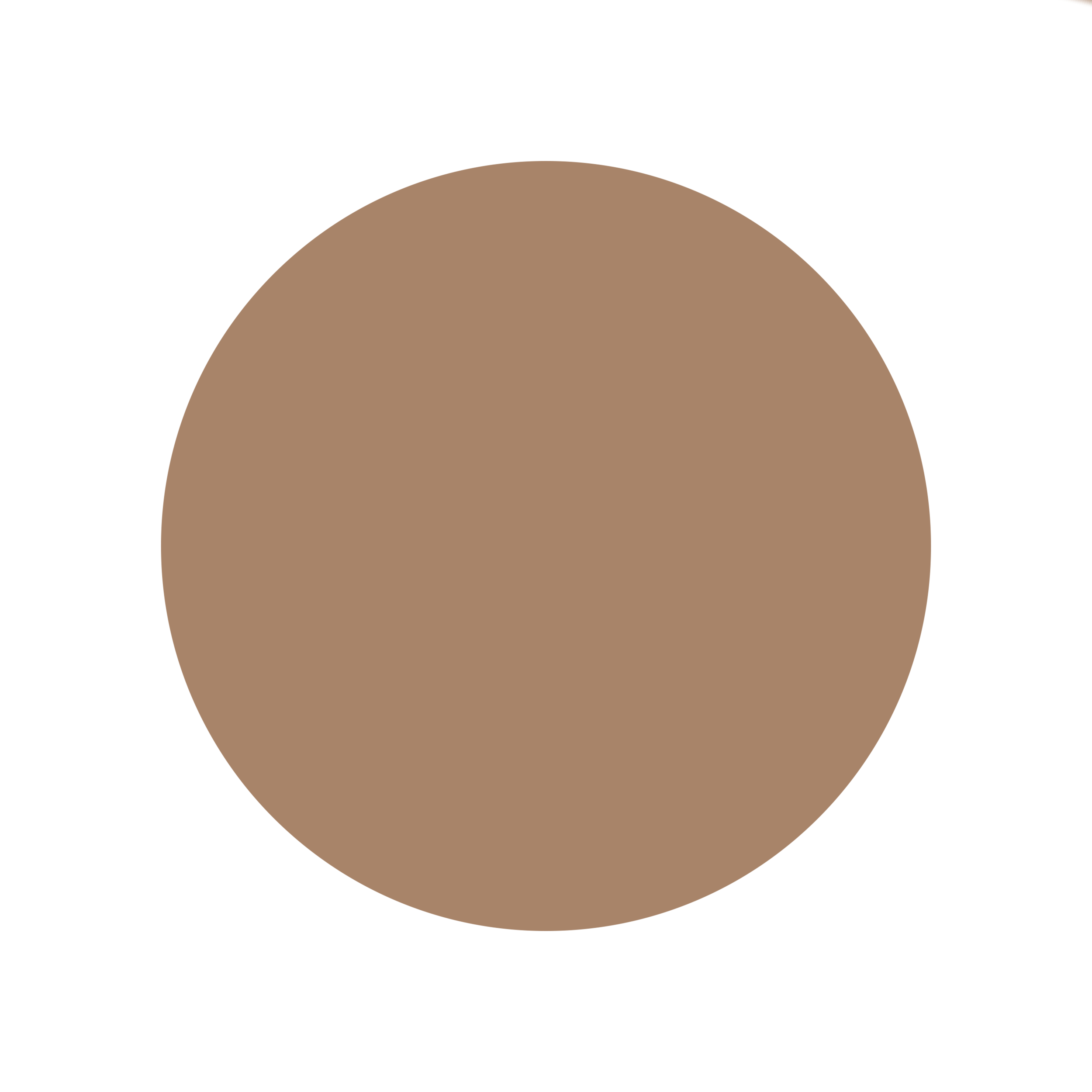 DULUX KINGSLAND- used on the outdoor planters