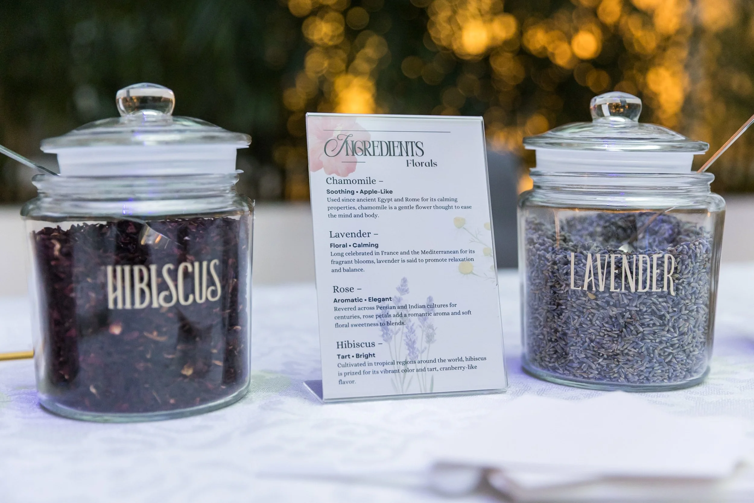 Marriott International Reception - Jason Dixson Photography - 251118 - 163407 - 1091.jpg