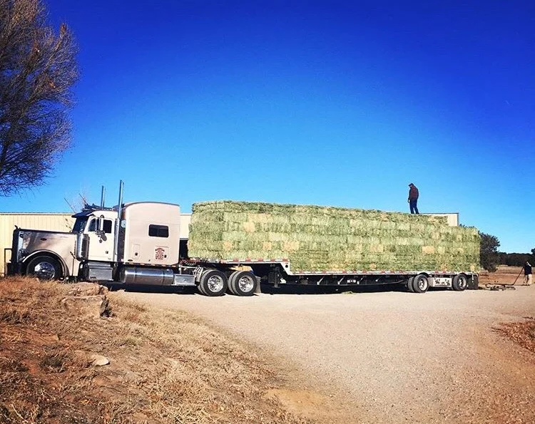 Hay.jpg