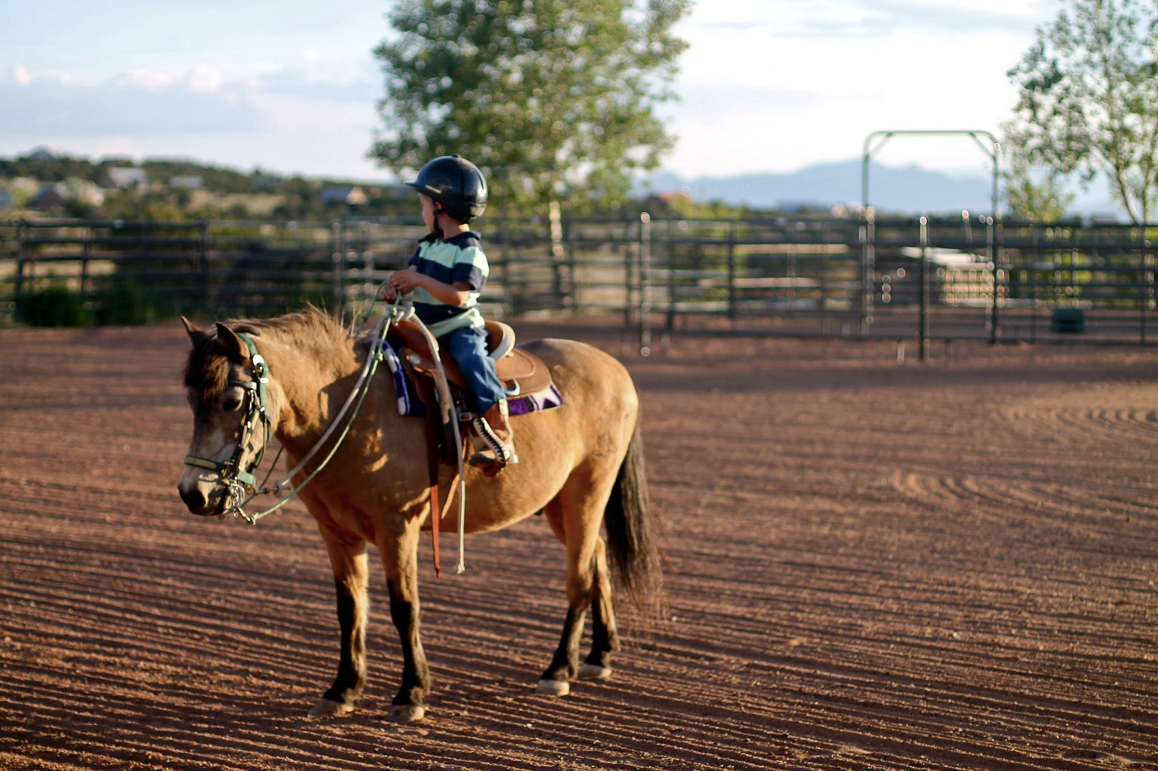 Screen Shot 2020-10-10 at 9.18.23 AM.png