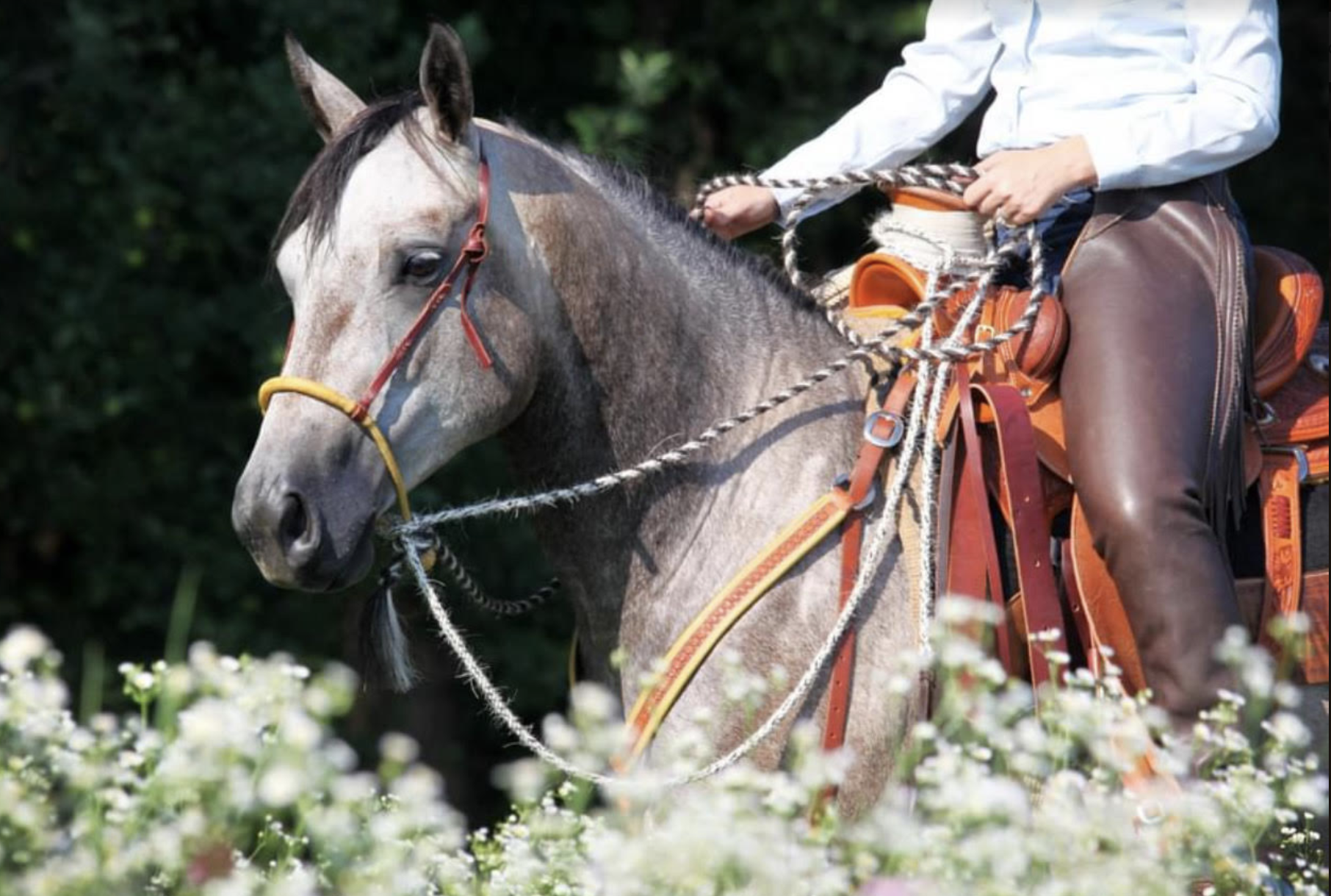 Screenshot 2024-04-08 at 8.29.07 PM.png