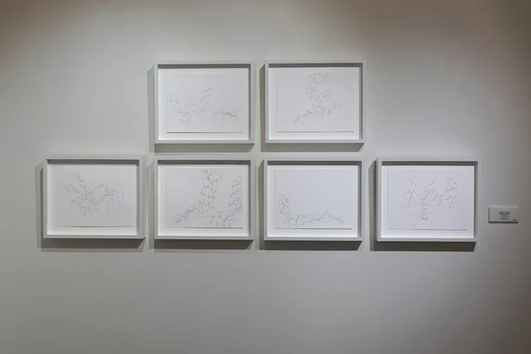 WE RULE, pencil on paper, 11"x14" each