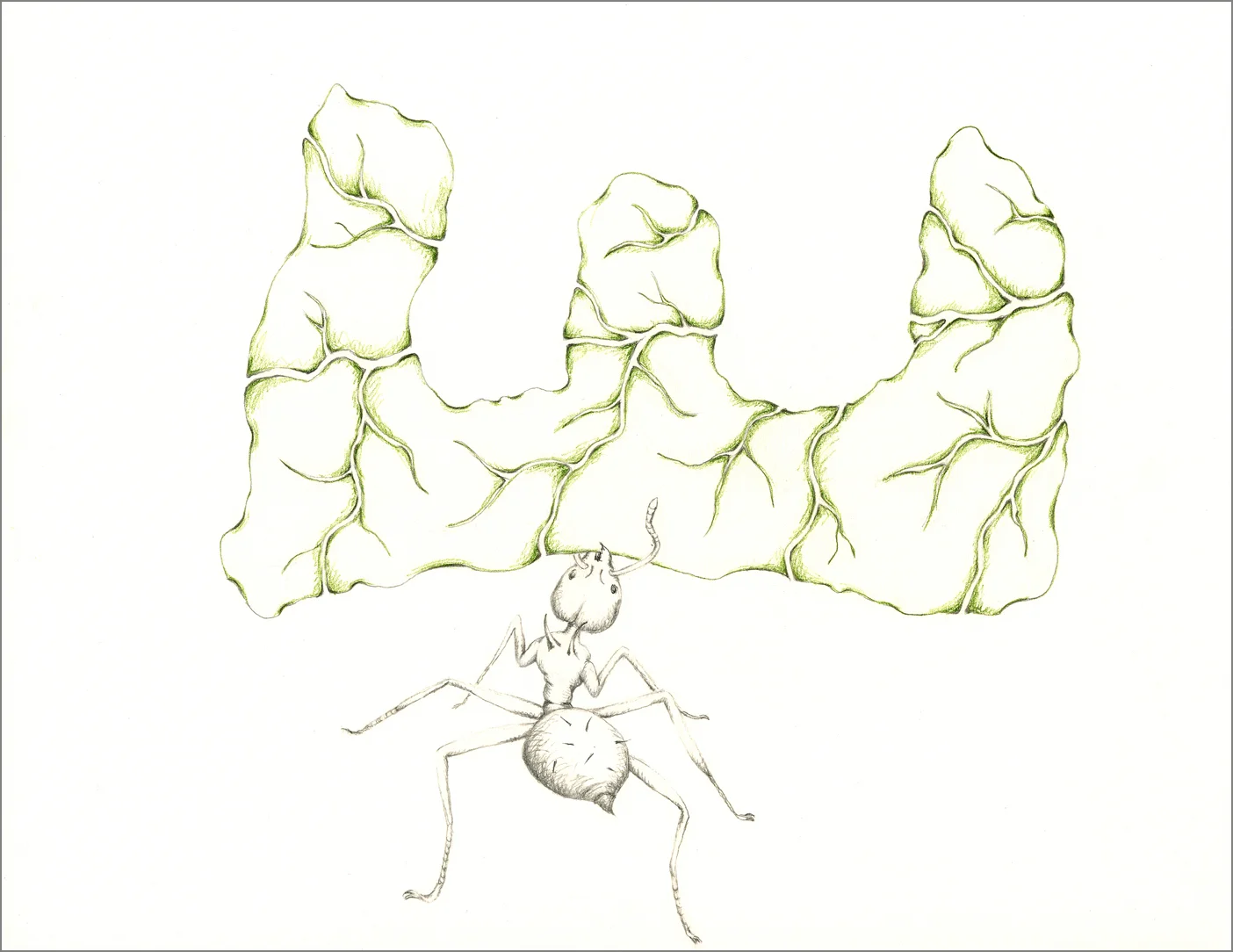 ant_draw_e2_4g.jpg