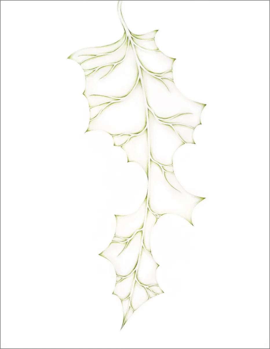 ant_draw_leaf3_4g.jpg