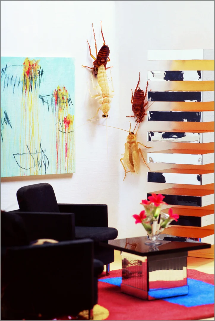 MOLTING BETWEEN TWOMBLY & JUDD