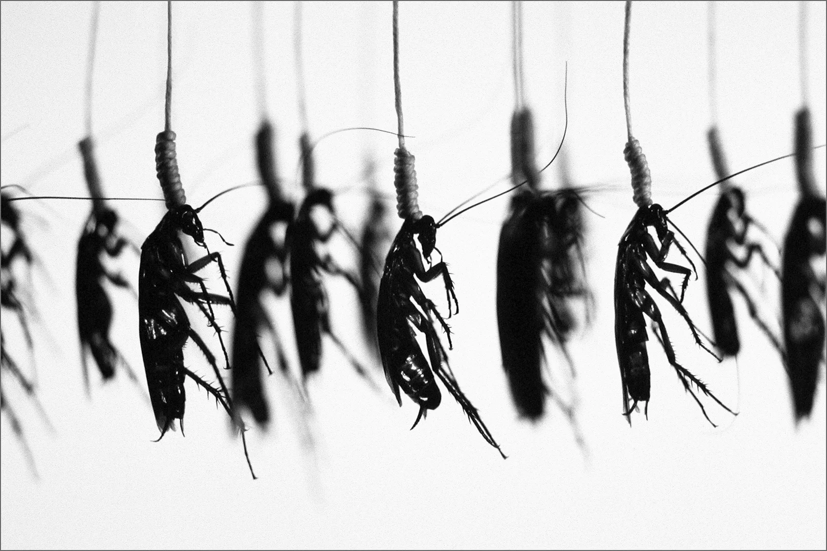 HANGING