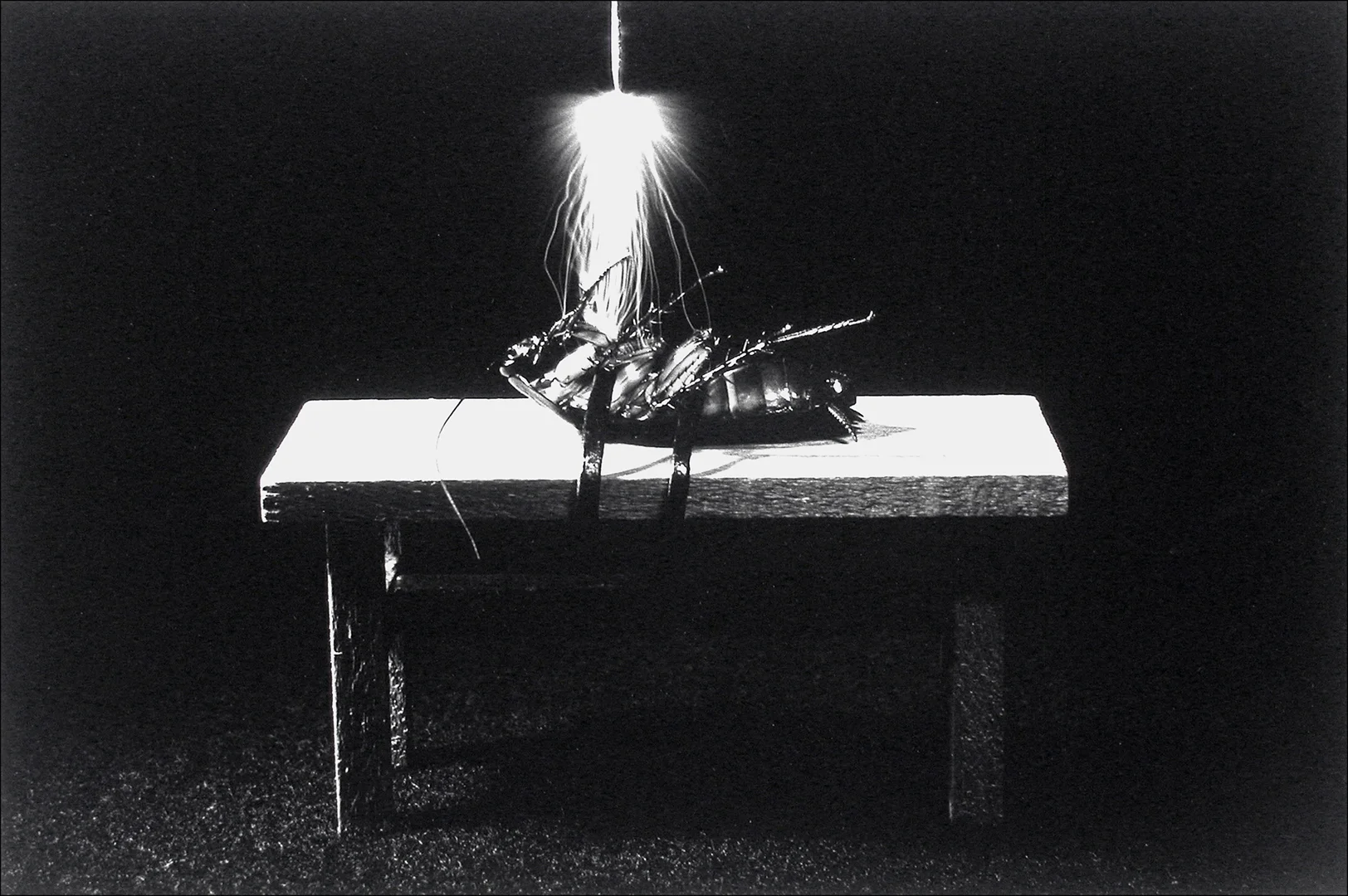 ELECTROCUTION