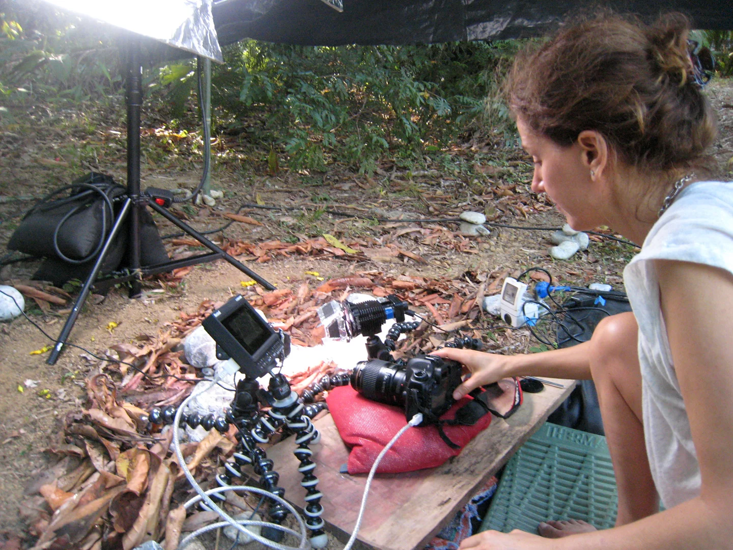 Filming ANTWORKS, Costa Rica