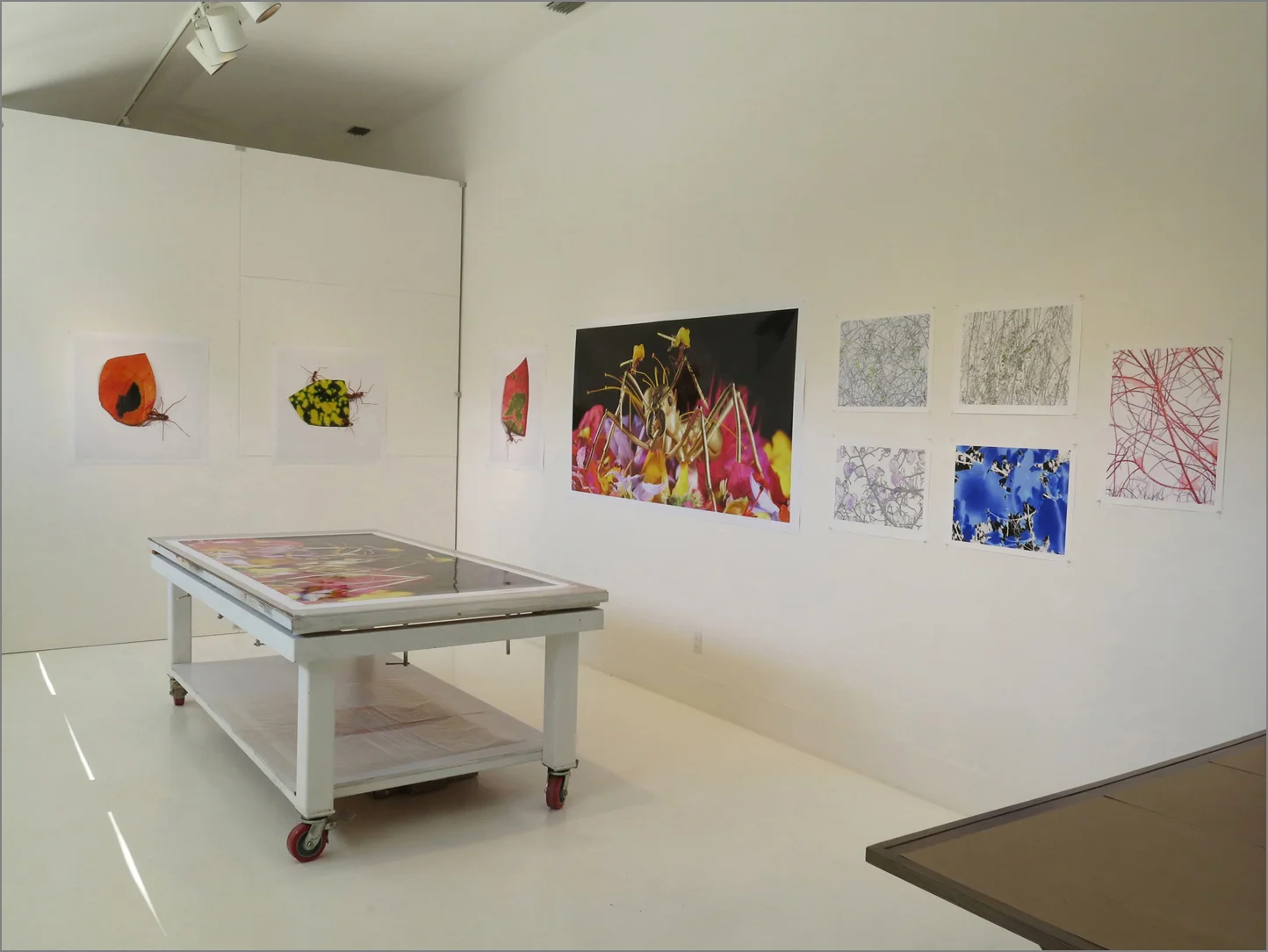 STUDIO AT RAUSCHENBERG RESIDENCY, Captiva