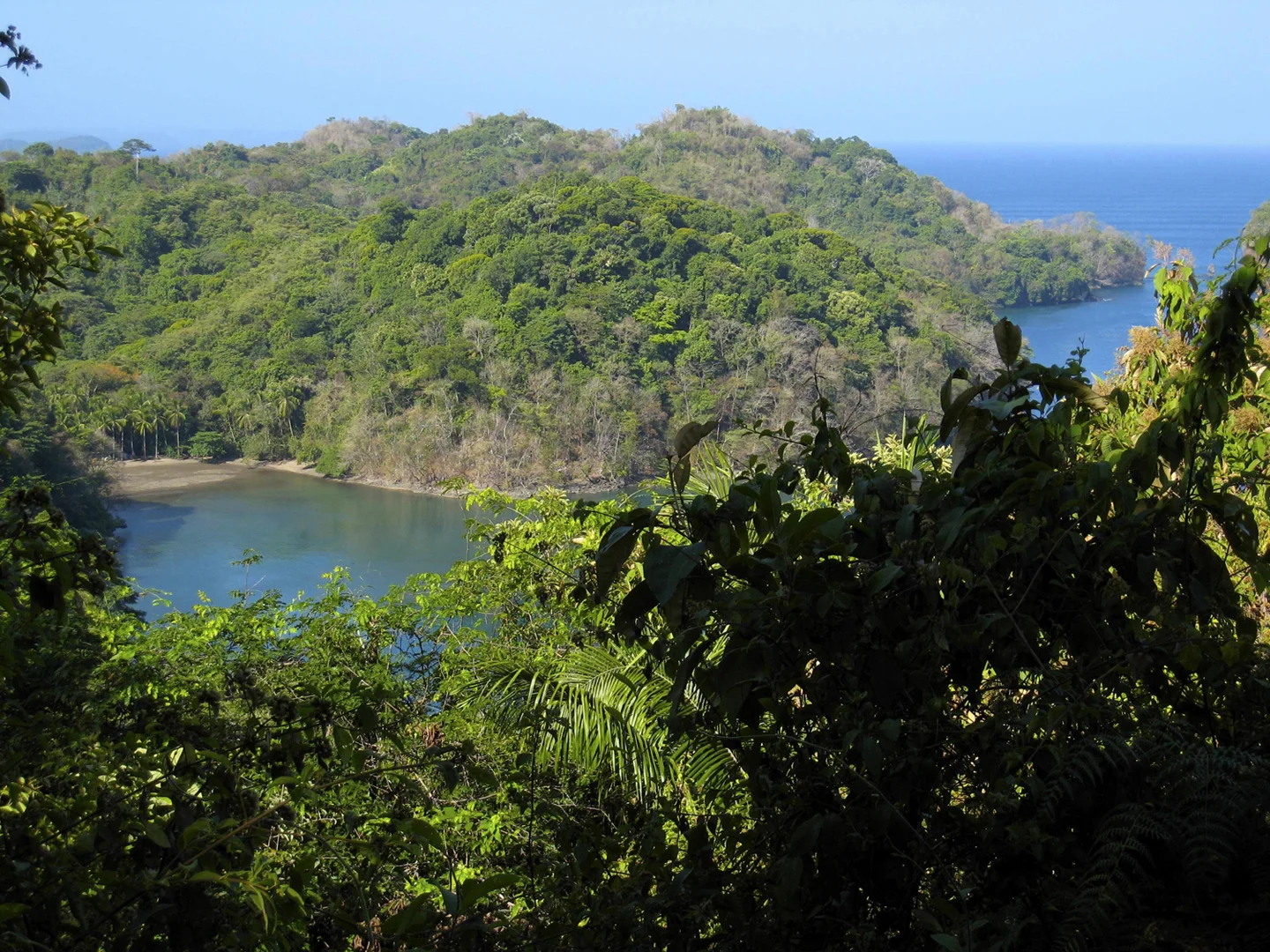 Location of WE RULE shoot, Liquid Jungle Lab, Isla Canales, Panama