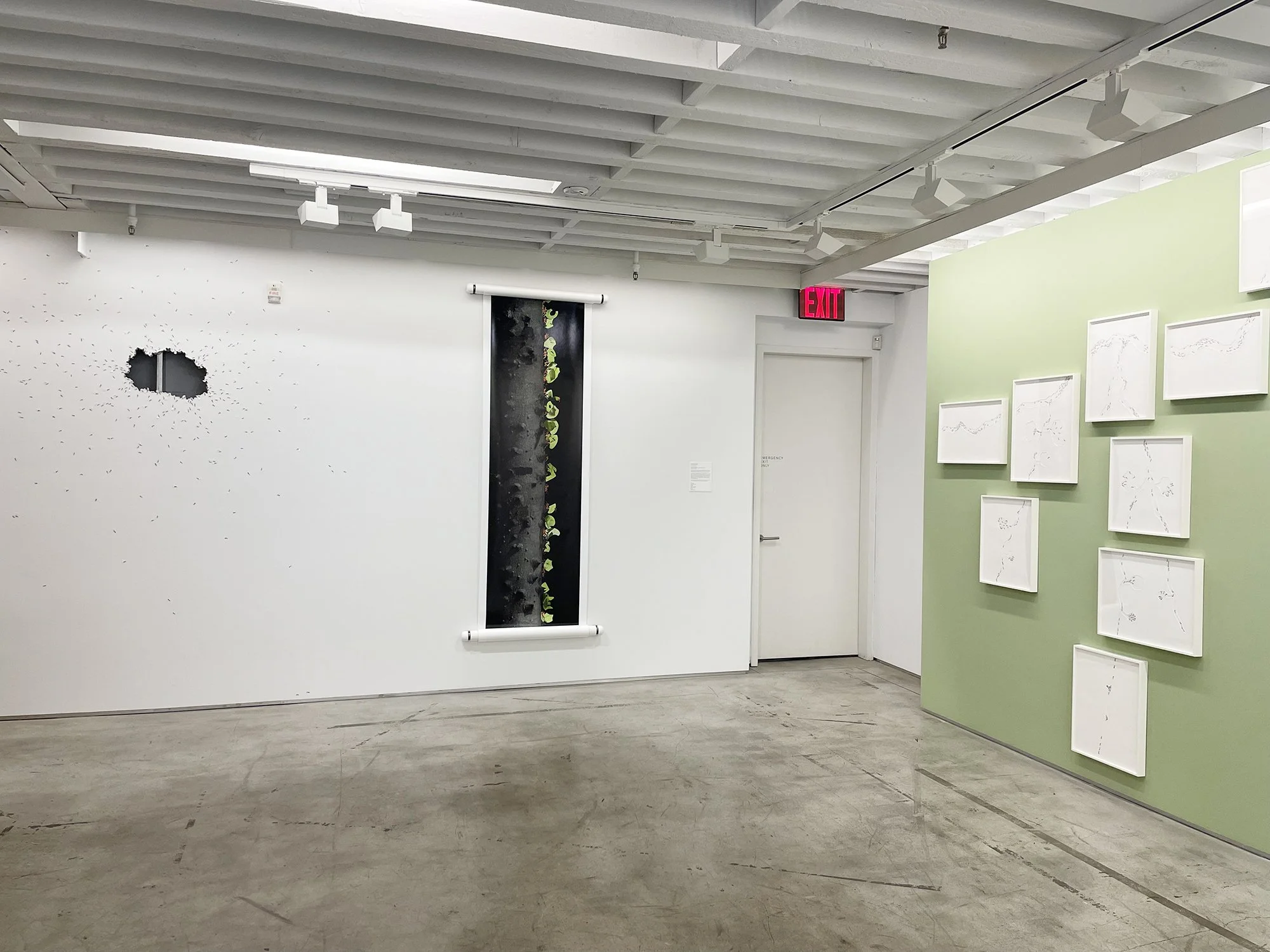 THE DRAWING CENTER INSTALL SHOTS Catherine Chalmers